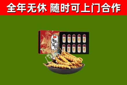 紫云县回收冬虫夏草价格